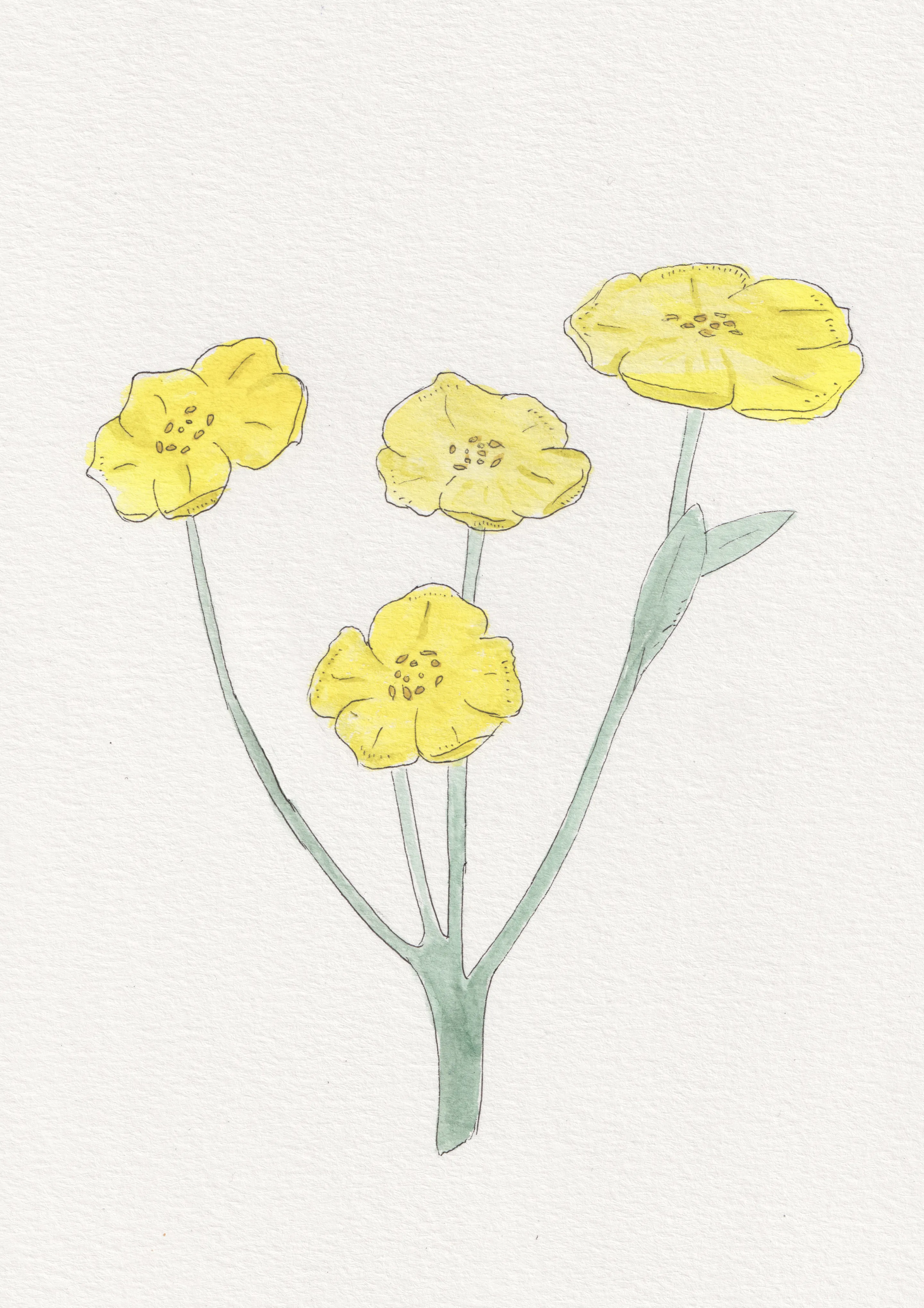 Delicate watercolor illustration of four yellow buttercup flowers with green stems and leaves, set against a plain white textured background. The flowers appear fresh and gently arranged, evoking a calm and cheerful mood. No text is present in the image.
