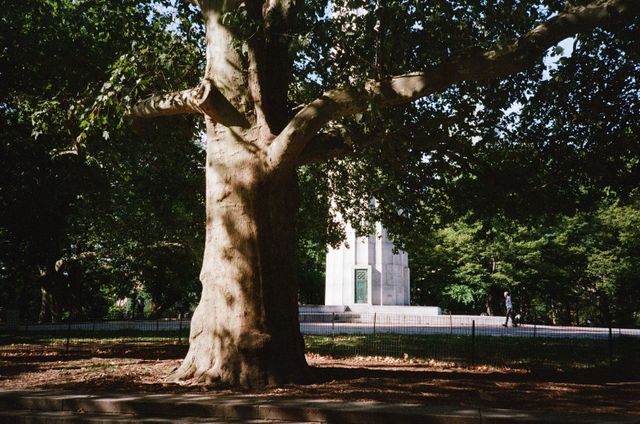 Fort Greene