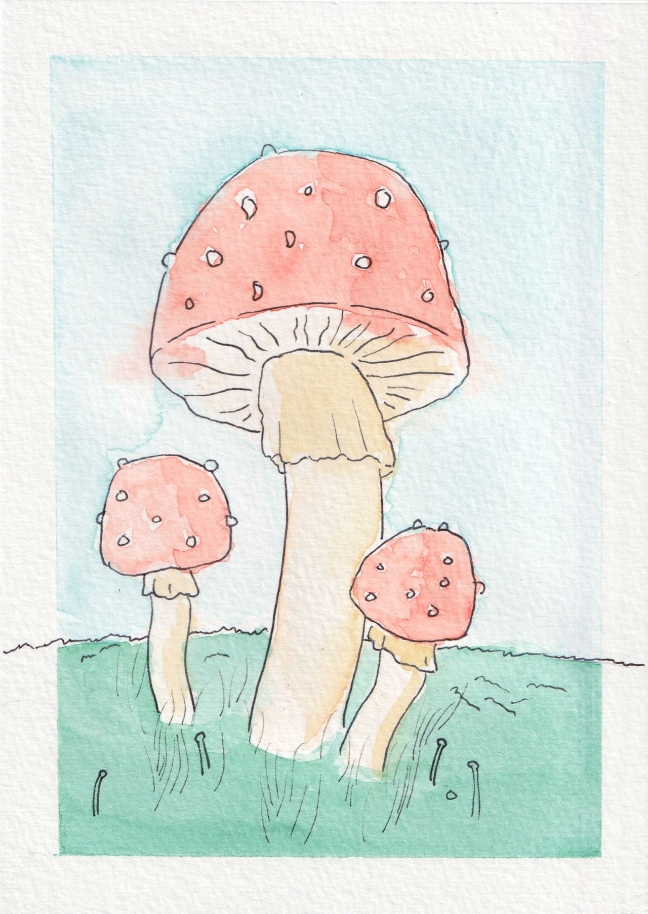 Mushrooms