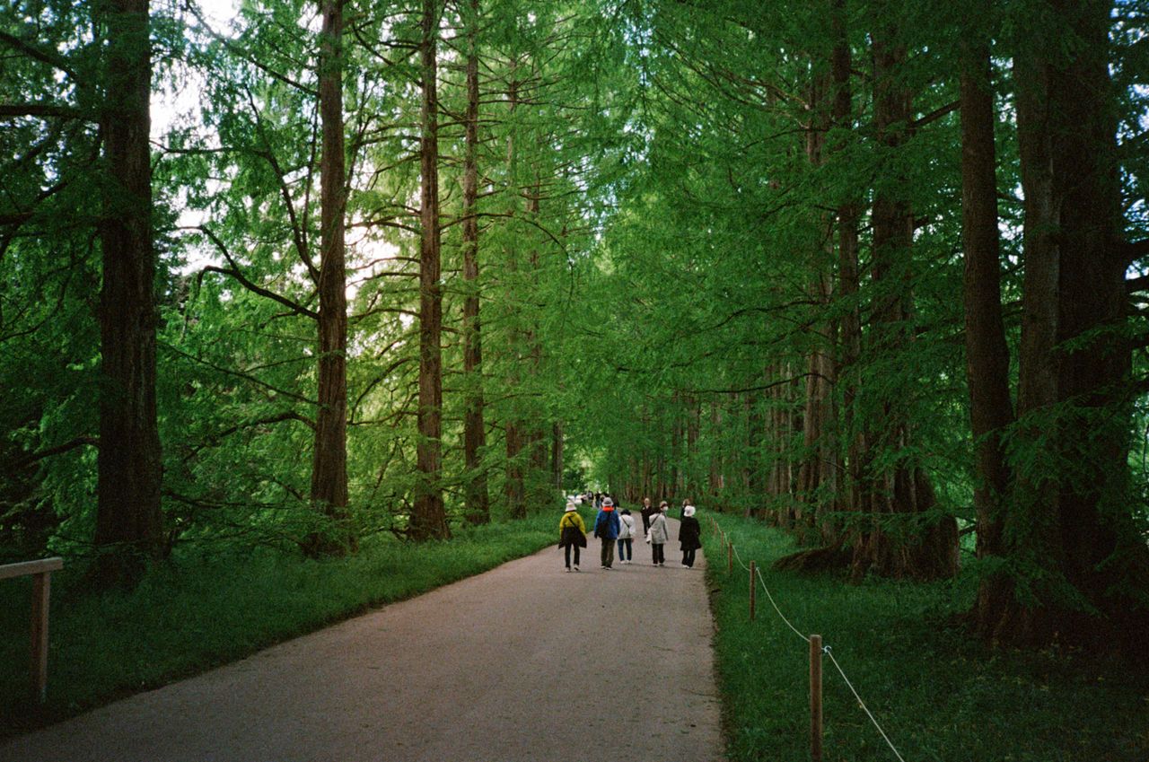 Mainau Walkers