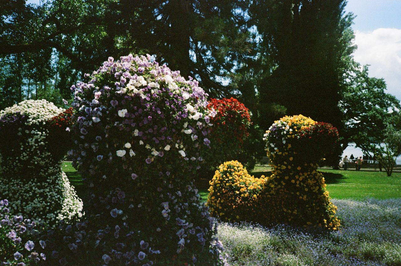 Mainau